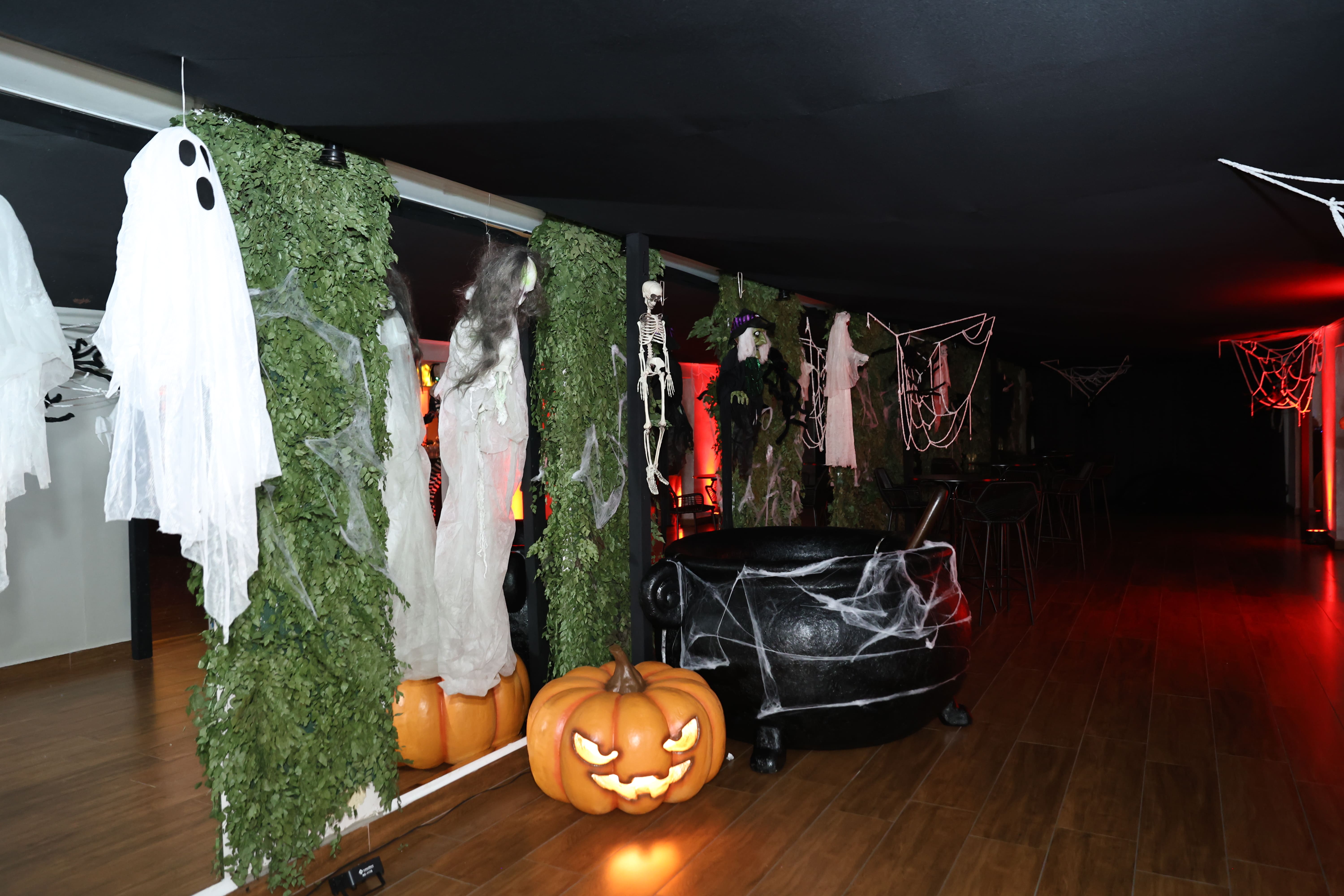 Créditos da Foto: Aura foto e vídeo